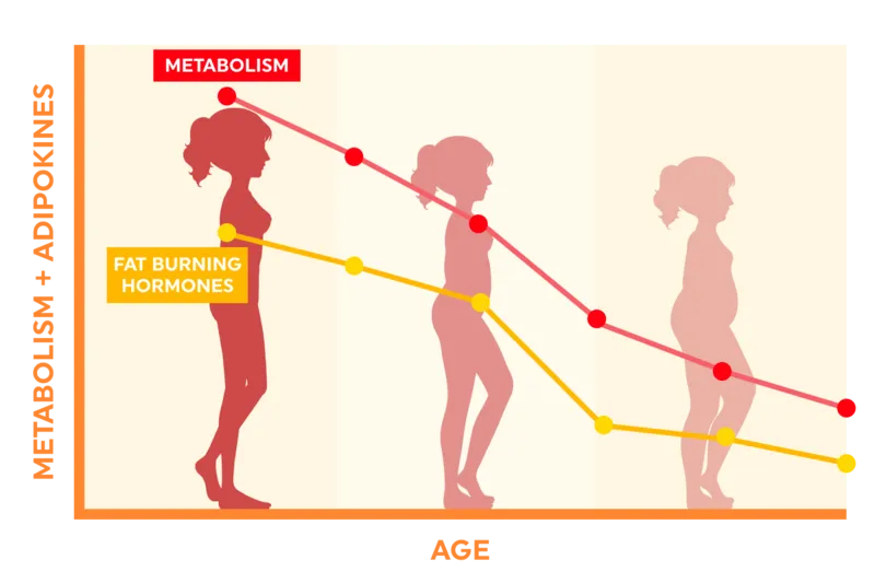RejuFem vs regular supplements