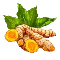 Turmeric